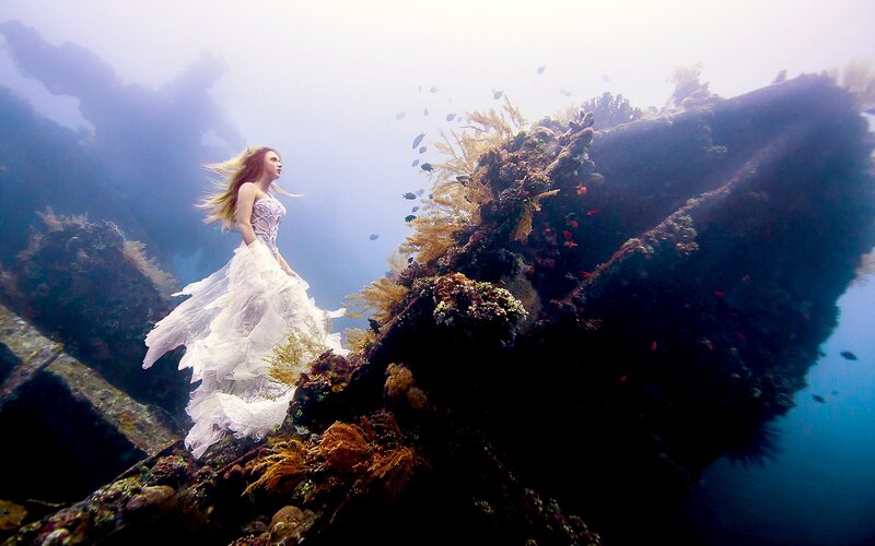 Woman in Wedding Dress — White, Serene, Photograph, Coral