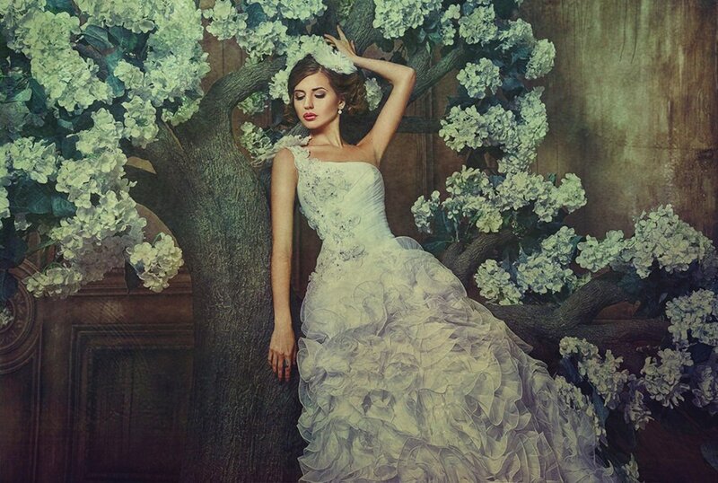 Woman in Wedding Dress — White, Serene, Photograph, Tree