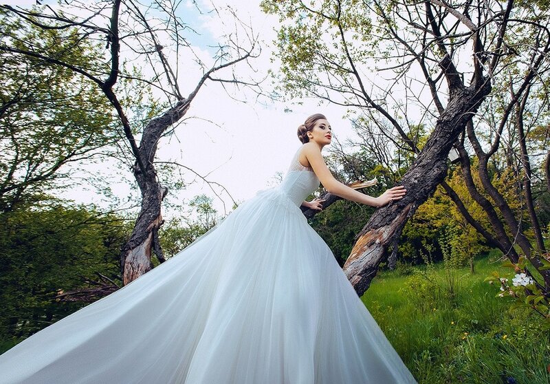 Woman in Wedding Dress — White, Serene, Spring, Photograph, Tree