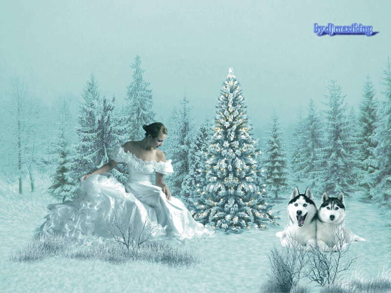Woman in Wedding Dress — White, Serene, Winter, Digital Art, Husky Dogs