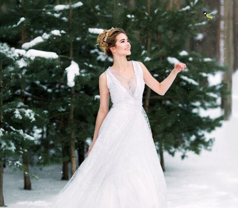 Woman in Wedding Dress — White, Serene, Winter, Photograph, Bird