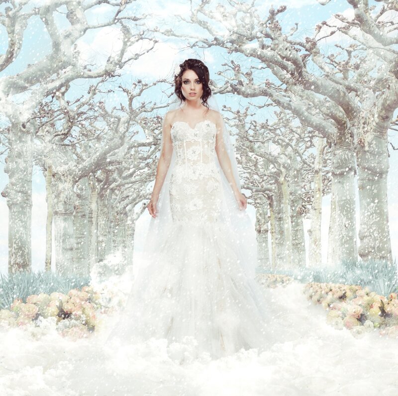 Woman in Wedding Dress — White, Serene, Winter, Photograph, Trees