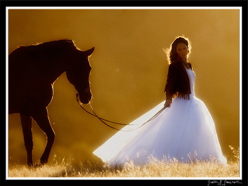 woman in wedding dress with horse
