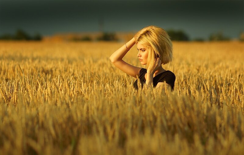 Woman in Wheat Field — Gold, Dramatic, Sunset