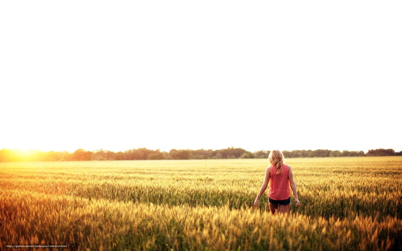 Woman in Wheat Field — Gold, Serene, Sunrise