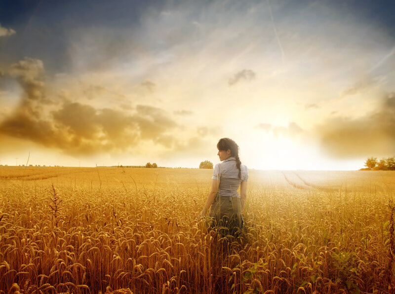 Woman in Wheat Field — Gold, Serene, Sunset, Photograph
