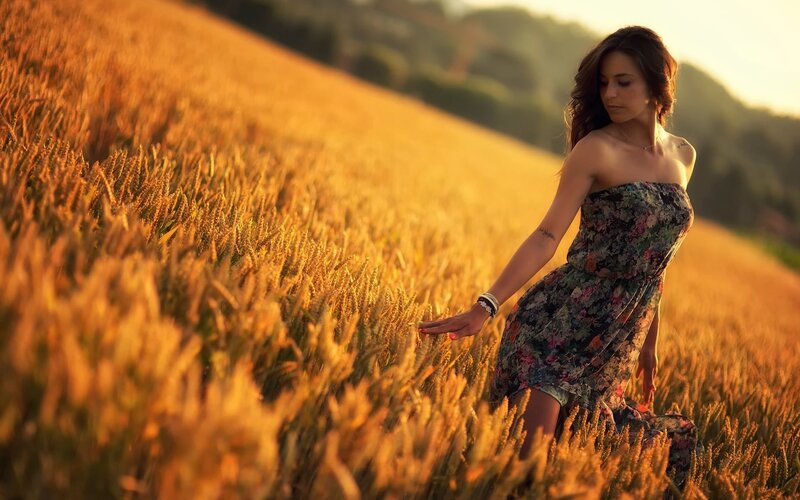 Woman in Wheat Field — Gold, Serene, Sunset, Photograph, Wheat Field, Dress