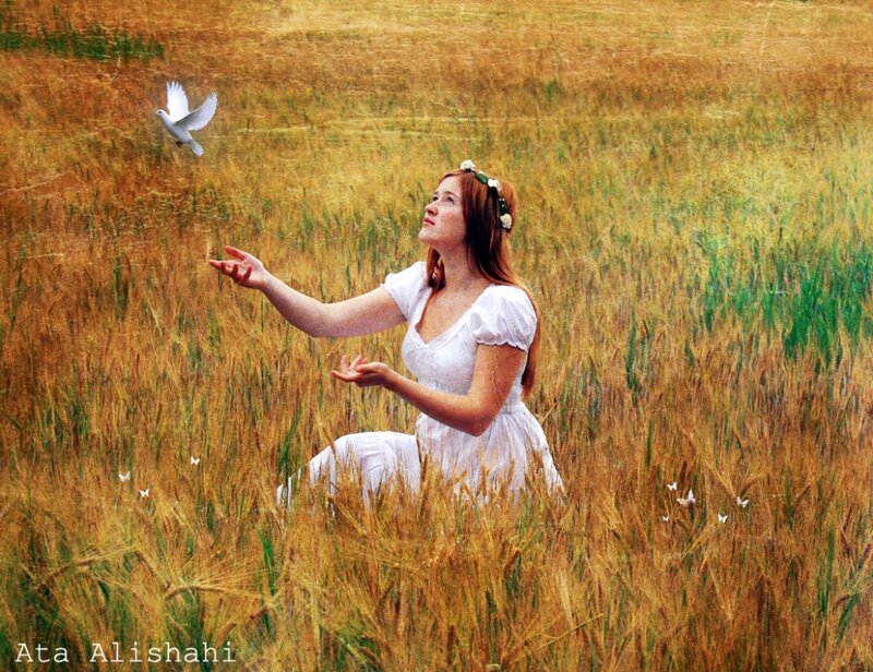 Woman in Wheat Field — Golden, Serene, Afternoon