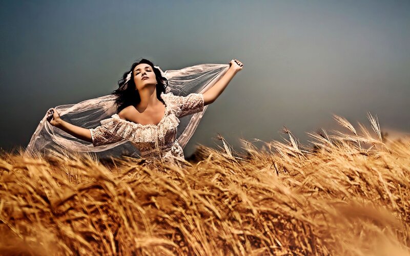 woman in wheat field with veil