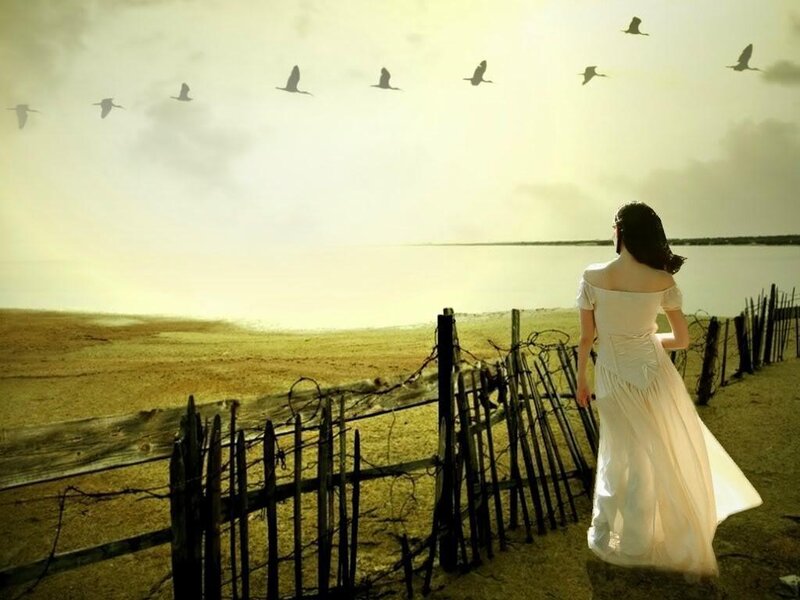 Woman in White Dress — Birds