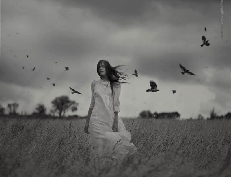 Woman in White Dress — Black, Dramatic, Photograph, Birds
