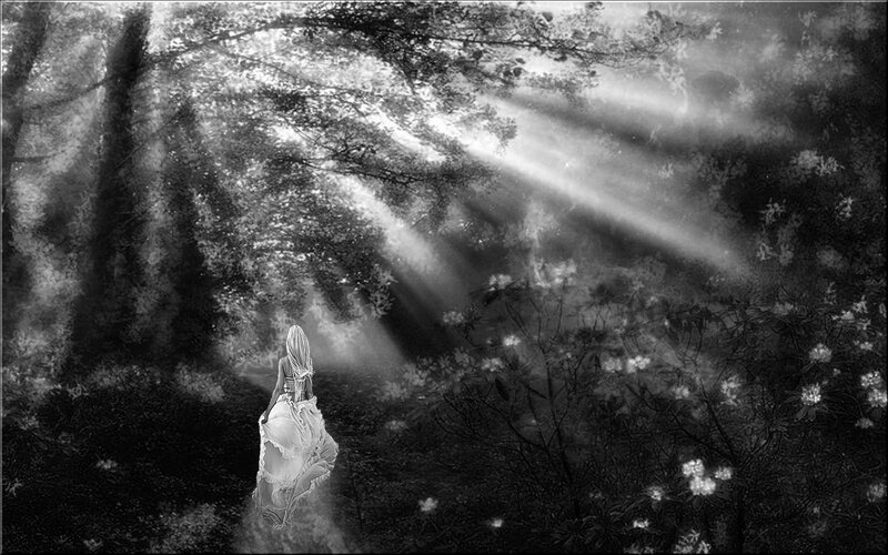Woman in White Dress — Black, Serene, Morning