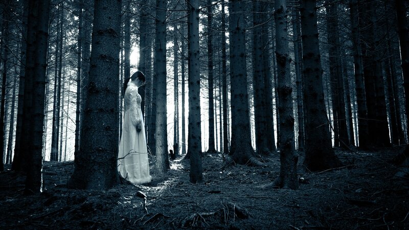 Woman in White Dress — Blue, Dramatic, Night, Photograph, Forest, Trees