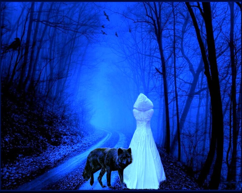 Woman in White Dress — Blue, Mysterious, Night, Digital Art, Wolf