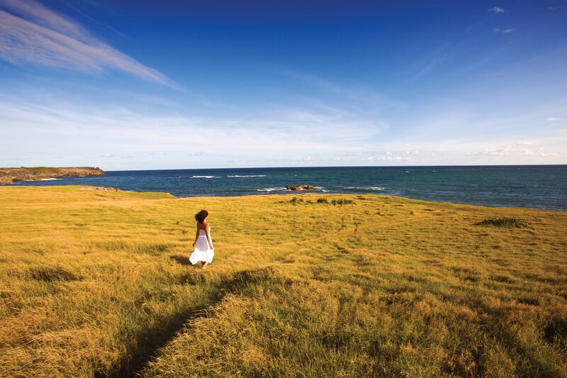 Woman in White Dress — Blue, Serene, Afternoon, Photograph, Grass Field, Ocean