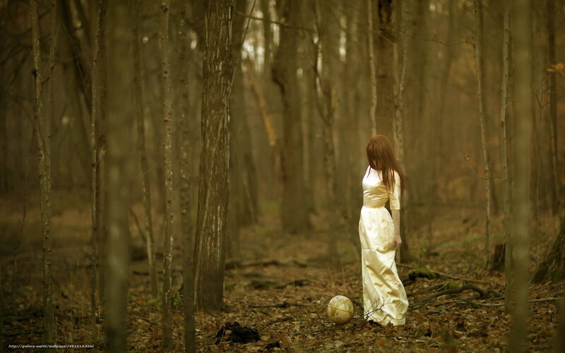 Woman in White Dress — Brown, Somber, Autumn, Photograph, Forest