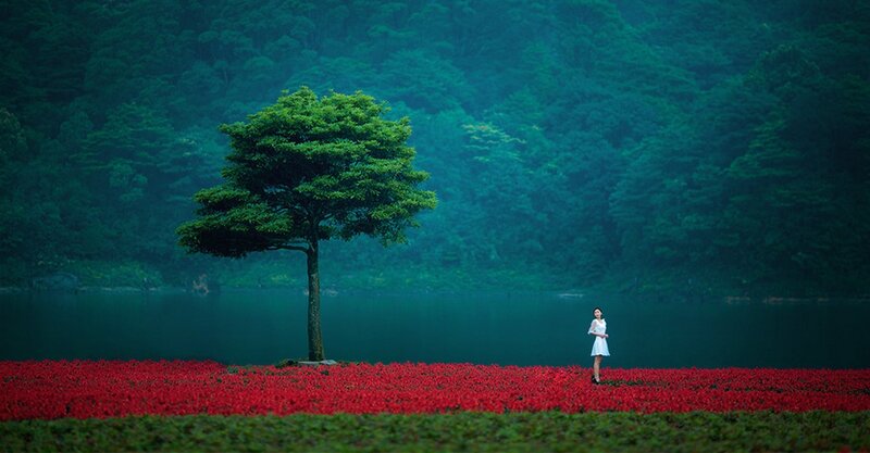 Woman in white dress by red flowers