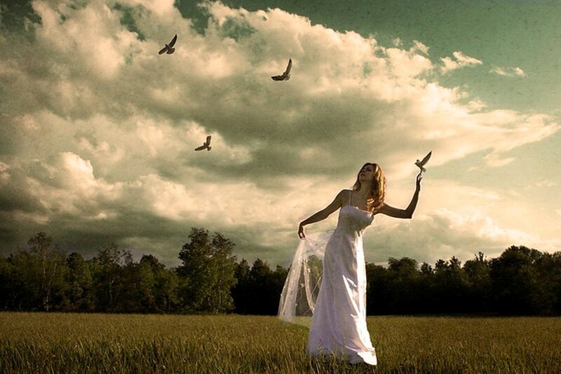 Woman in White Dress — Dramatic, Afternoon, Photograph, Birds