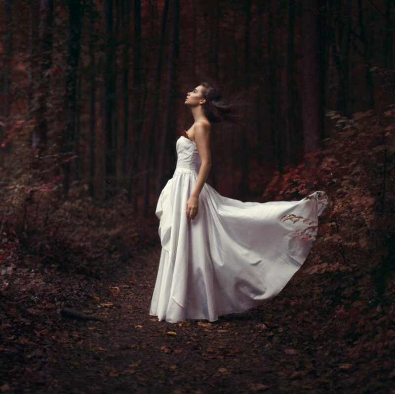 Woman in White Dress — Dramatic, Autumn, Photograph, Forest