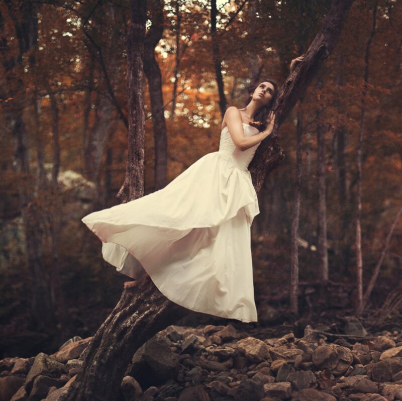 Woman in White Dress — Dramatic, Autumn, Photograph, Forest, Tree