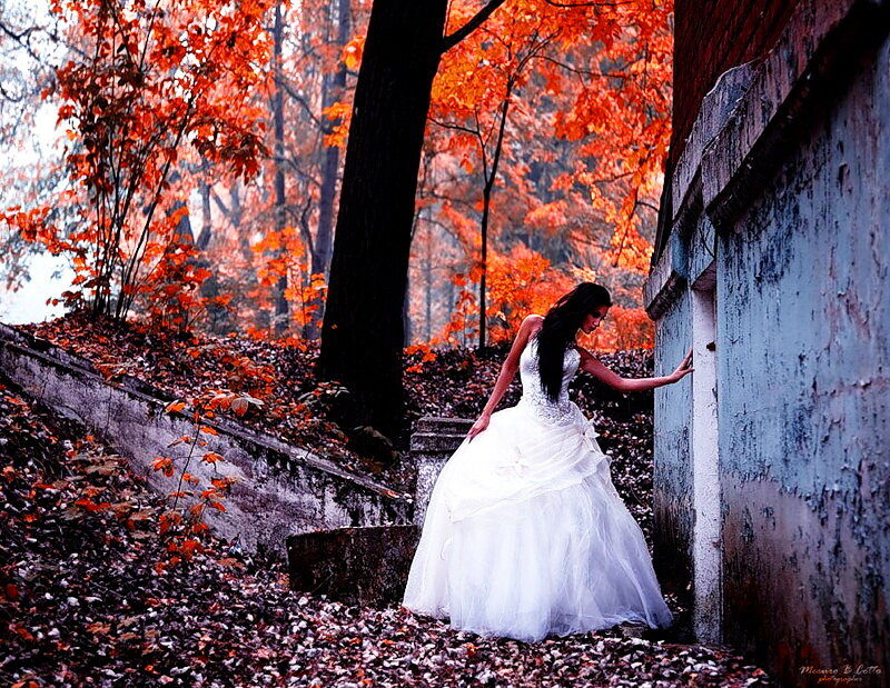 Woman in White Dress — Dramatic, Autumn, Photograph, Tree