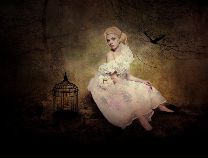 Woman in White Dress — Dramatic, Night, Photograph, Birdcage