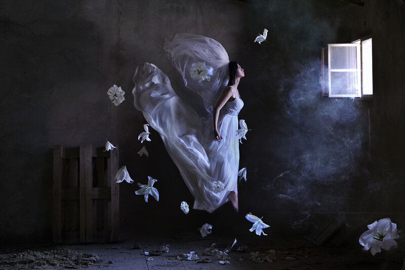 Woman in White Dress — Dramatic, Photograph, Flowers, Window