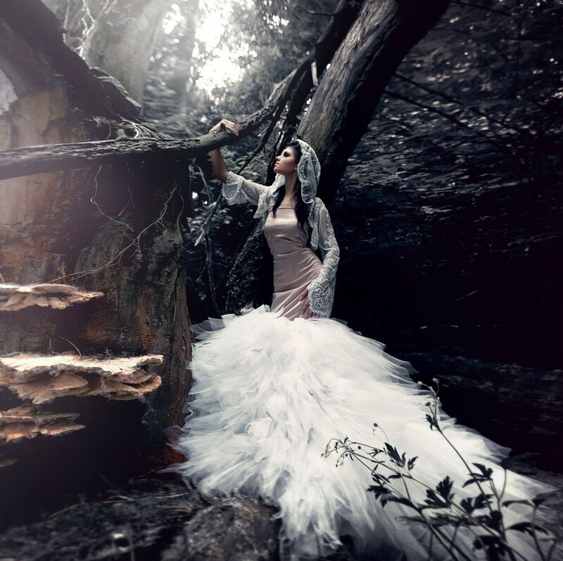 Woman in White Dress — Dramatic, Photograph, Forest, Tree