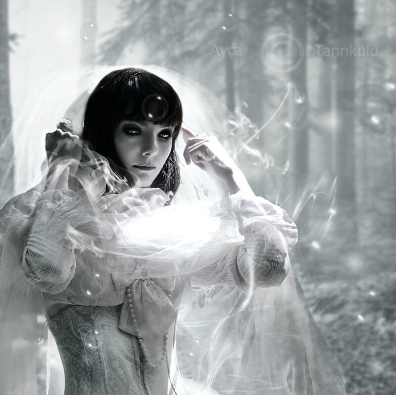 Woman in White Dress — Dramatic, Photograph, Forest, Veil