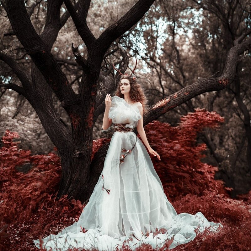 Woman in White Dress — Dramatic, Photograph, Tree, Antlers