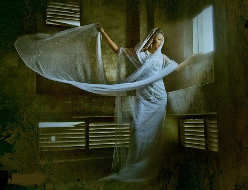 Woman in White Dress — Dramatic, Photograph, Veil, Window