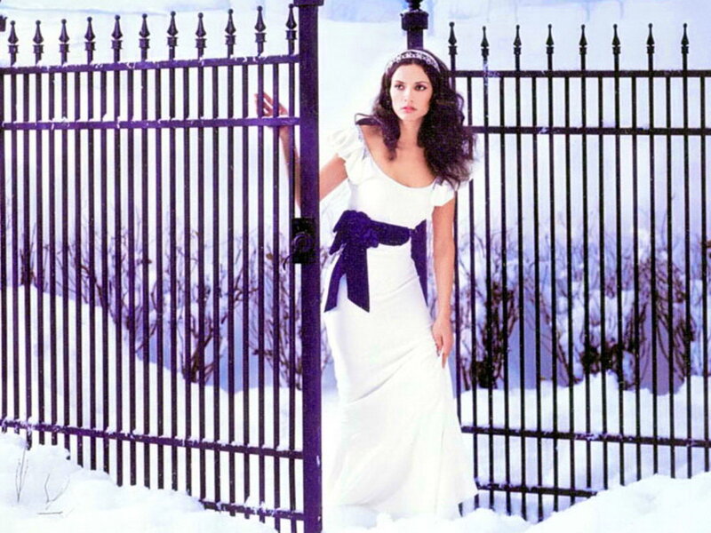 Woman in White Dress — Dramatic, Winter, Photograph, Fence