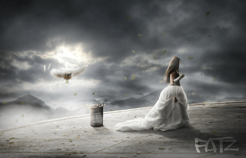 Woman in White Dress — Gray, Dramatic, Night, Digital Art, Owl