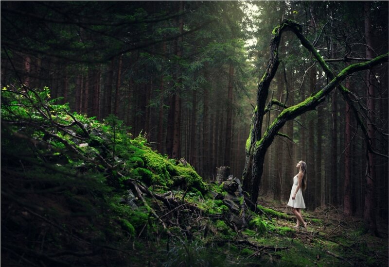 Woman in White Dress — Green, Serene, Morning, Photograph, Forest