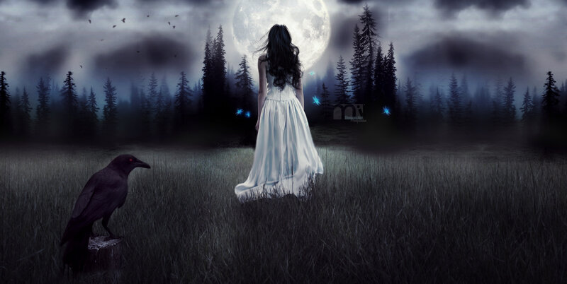 Woman in White Dress — Mysterious, Night, Digital Art, Crow
