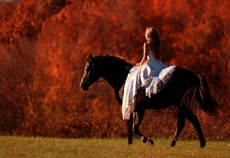 Woman in White Dress on Horse — Orange
