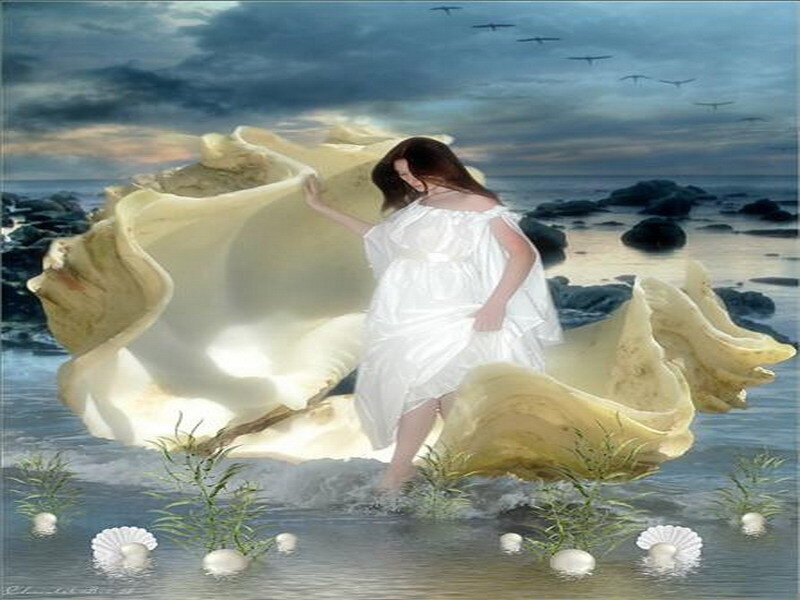 woman in white dress on seashell