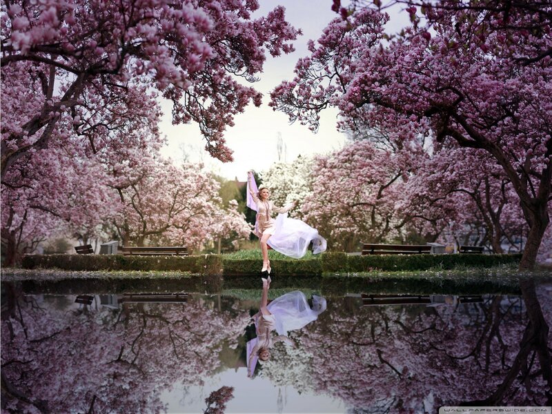 Woman in White Dress — Pink, Serene, Spring, Photograph