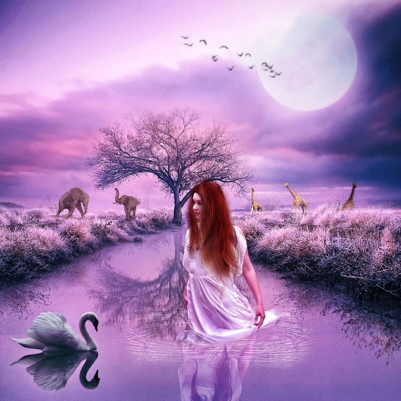 Woman in White Dress — Purple, Dreamy, Night, Digital Art, Swan