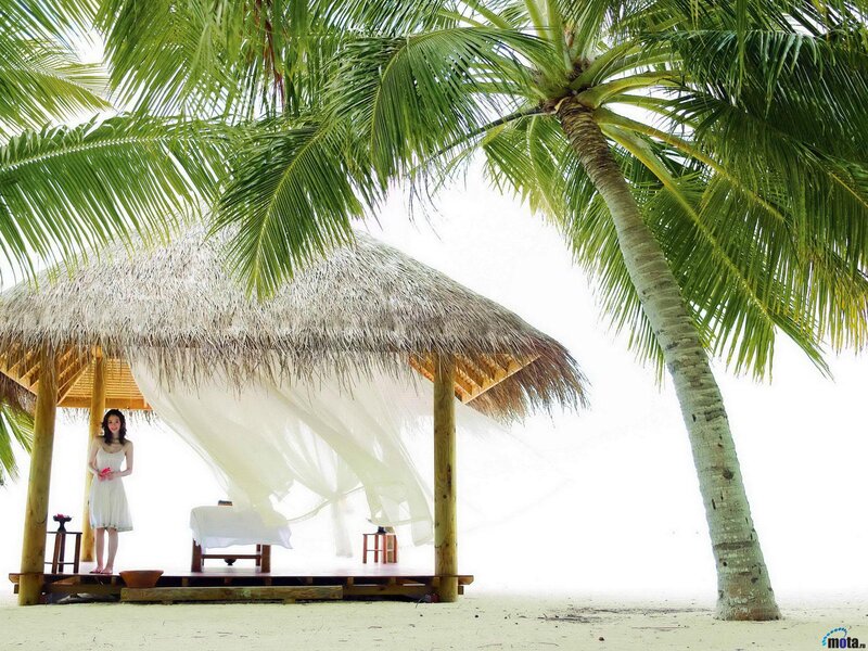 Woman in White Dress — Serene, Afternoon, Photograph, Palm Tree, Thatched Hut