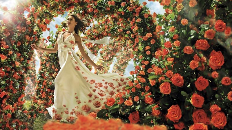 Woman in White Dress — Serene, Afternoon, Photograph, Roses, Sky