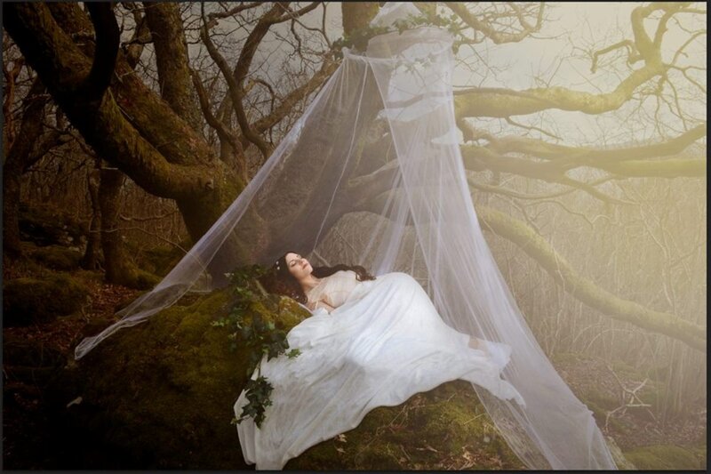 Woman in White Dress — Serene, Autumn, Photograph, Forest, Tree