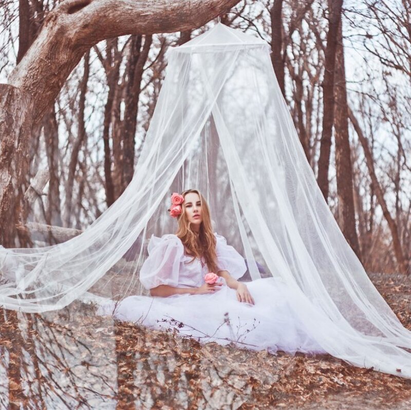 Woman in White Dress — Serene, Autumn, Photograph, Tree, Veil
