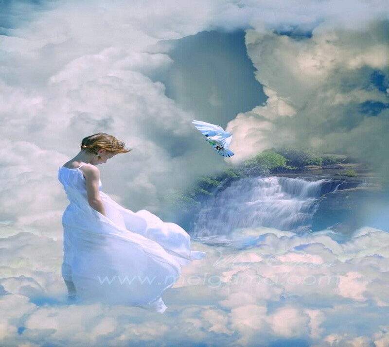 Woman in White Dress — Serene, Digital Art, Bird