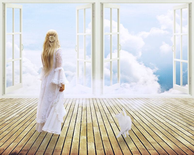 Woman in White Dress — Serene, Digital Art, Cat