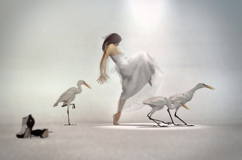 Woman in White Dress — Serene, Digital Art, Egrets
