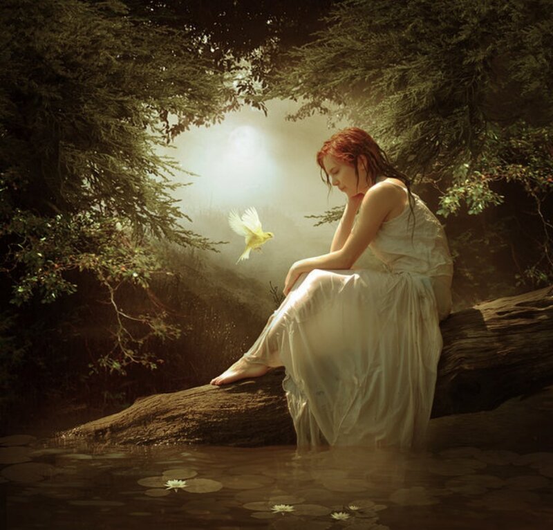 Woman in White Dress — Serene, Night, Digital Art, Bird