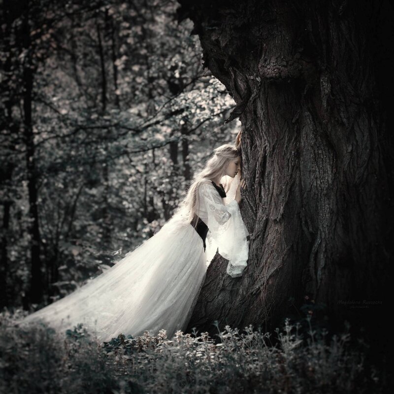 Woman in White Dress — Serene, Photograph, Tree, Forest