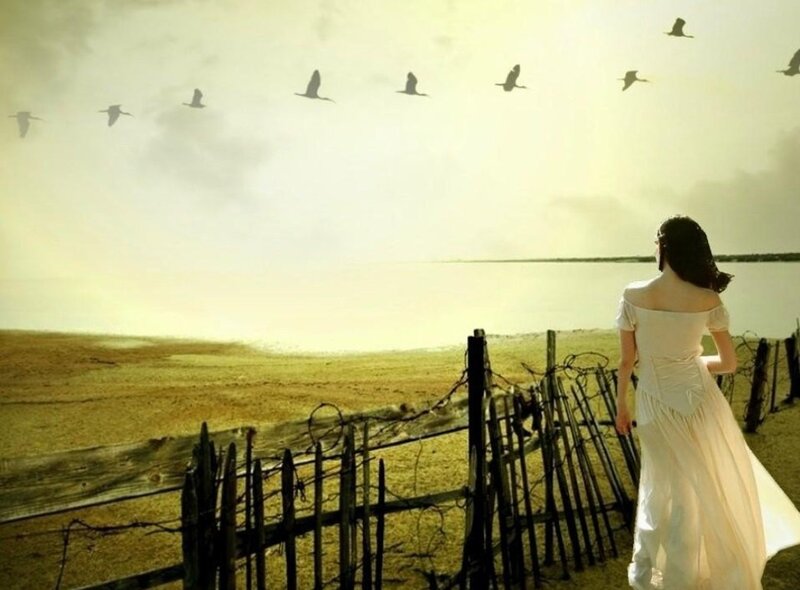 Woman in White Dress — Serene, Sunset, Digital Art, Birds, Fence