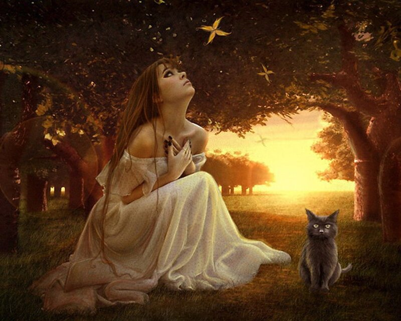 Woman in White Dress — Serene, Sunset, Digital Art, Cat